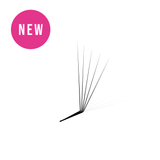 5D Pro Mades - 750/1000 Fans - False Eyelashes - LashBase Limited