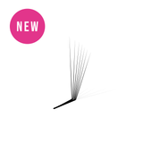 7D Pro Mades - 750/1000 Fans - False Eyelashes - LashBase Limited