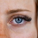 10D Narrow Fans - 700 Fans - Lashes - LashBase Limited