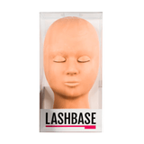 Mannequin Head - Accessories - LashBase Limited