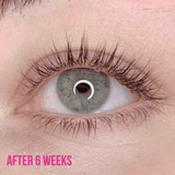 Lash Treatment Serum - Aftercare - LashBase Limited