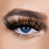 Extra AF - All The Drama - Beauty - LashBase Limited