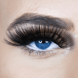 Extra AF - Pure Sass - Beauty - LashBase Limited