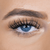 Faux Pro - FP03 - Beauty - LashBase Limited