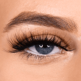 Vacay Vibes - Vegas - Beauty - LashBase Limited