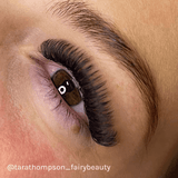 LBX Collection Mega Volume Lashes 0.03mm - Lashes - LashBase Limited