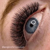 LBX Collection Volume Lashes 0.06mm - Lashes - LashBase Limited