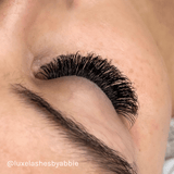 LBX Collection Volume Lashes 0.07mm - Lashes - LashBase Limited