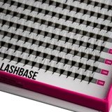 NEW GENERATION 5D Pre Made Volume Fans  – XXL Tray - Lashes - LashBase Limited
