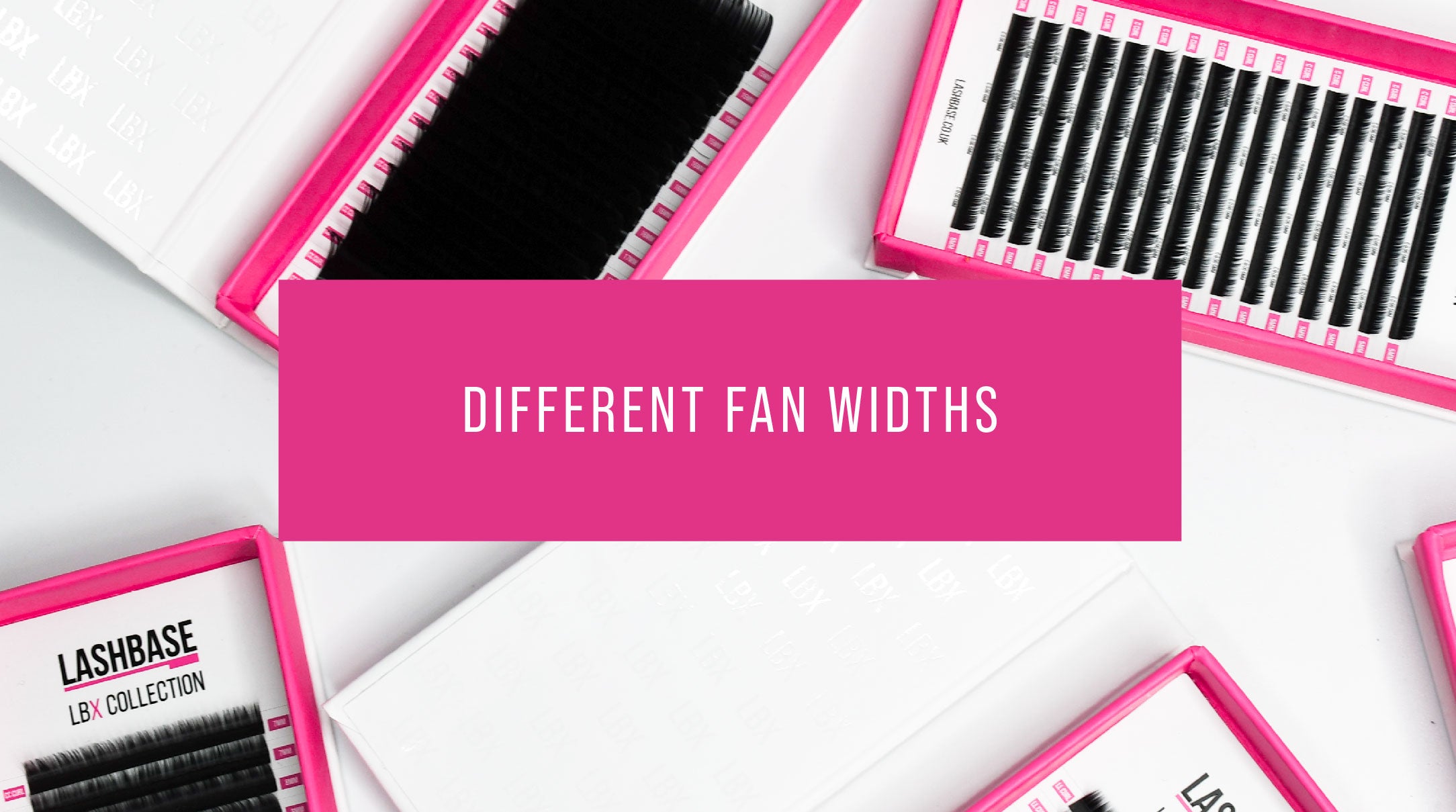 Different Fan Widths Lash Education LashBase