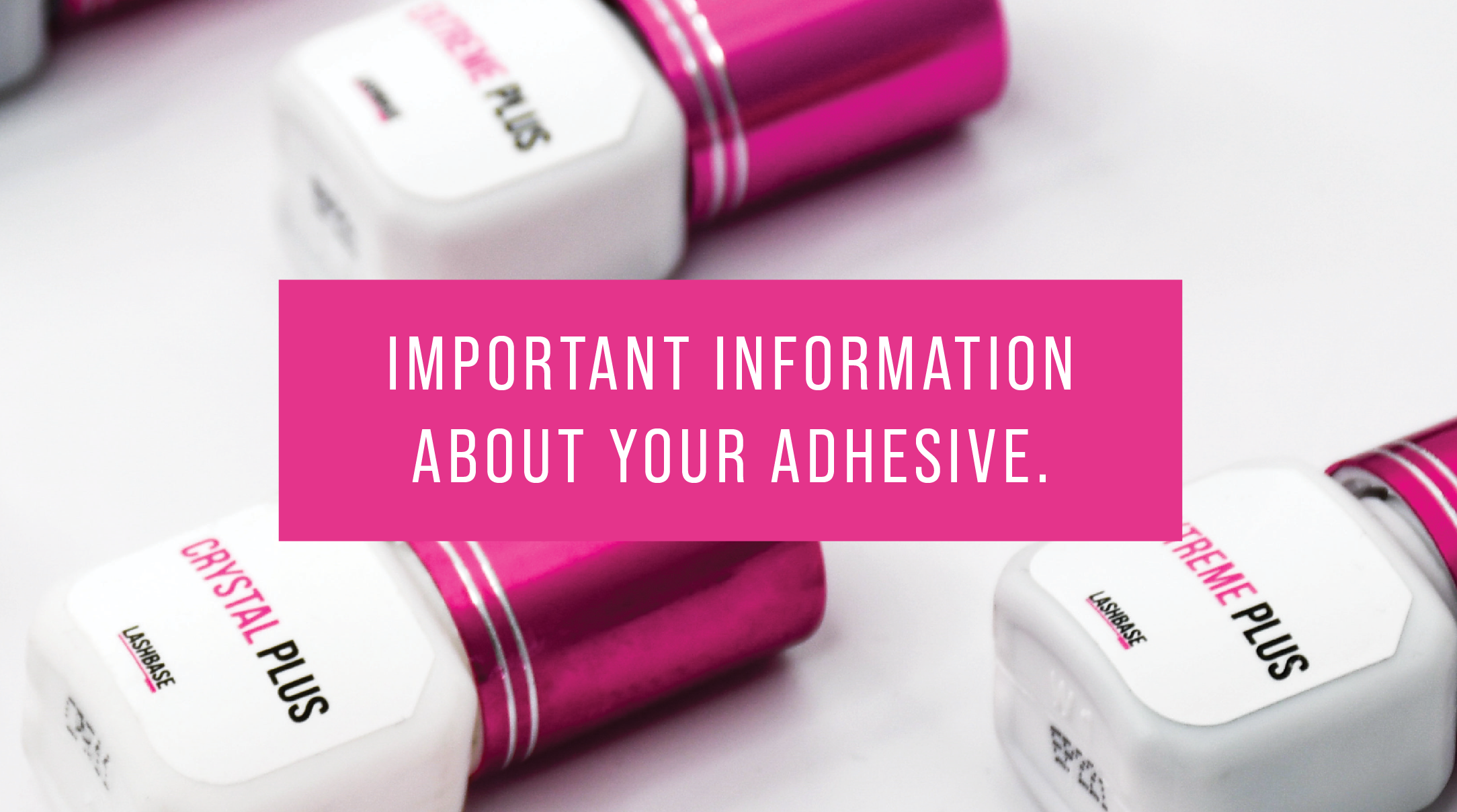 Unopened Adhesive Expiry Dates LashBase Limited