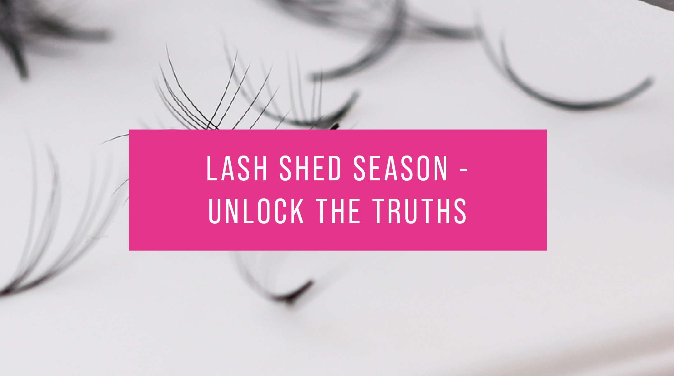 Lash Shed Season Unlock the Truths LashBase Limited