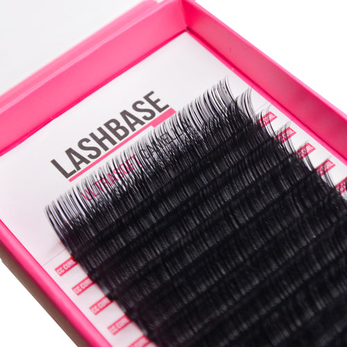 Speciality Lashes Collections LashBase Limited