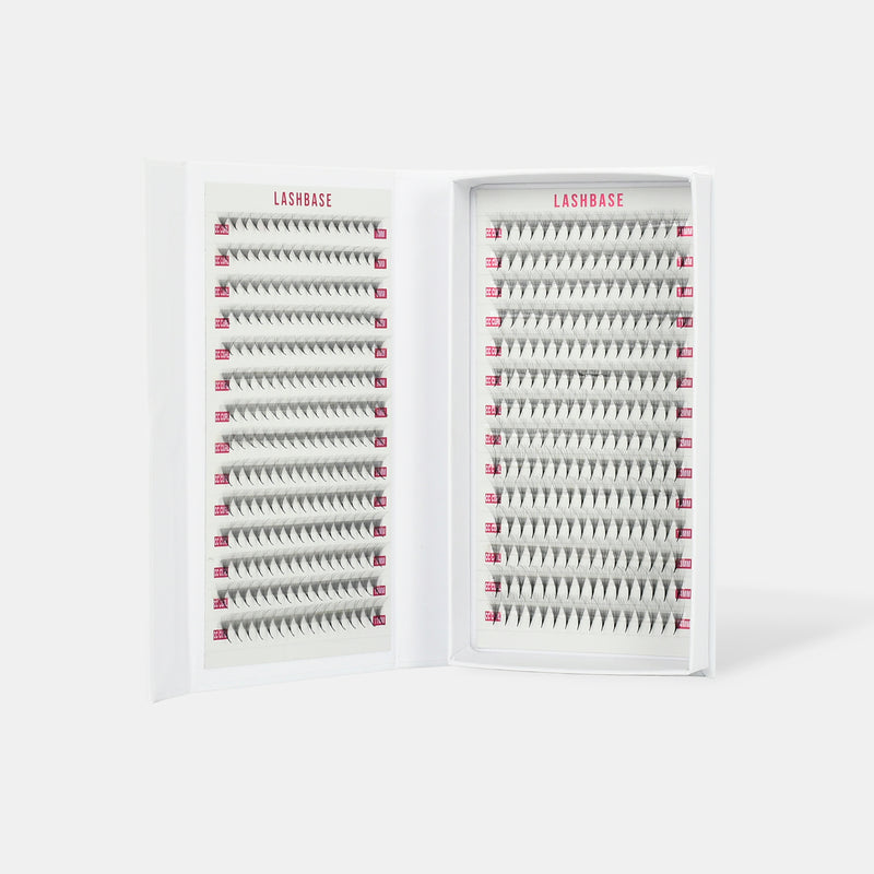 12D Ultra Narrow Fans - False Eyelashes - LashBase Limited