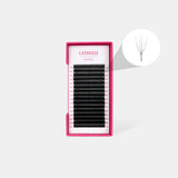 4D Hybrid Fans - False Eyelashes - LashBase Limited