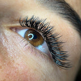 Angel Pro Mades -  - LashBase Limited