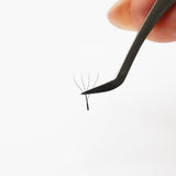 Clover Lashes - False Eyelashes - LashBase Limited