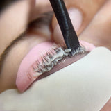 Lifted. Flat Shields - Singles - Lifted. - LashBase Limited
