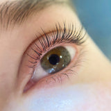 Lifted. Flat Shields - Singles - Lifted. - LashBase Limited