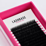 LBX Collection Volume Lashes 0.07mm - False Eyelashes - LashBase Limited