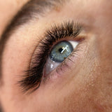 L Curl 5D Pro Mades - 750/1000 Fans - False Eyelashes - LashBase Limited