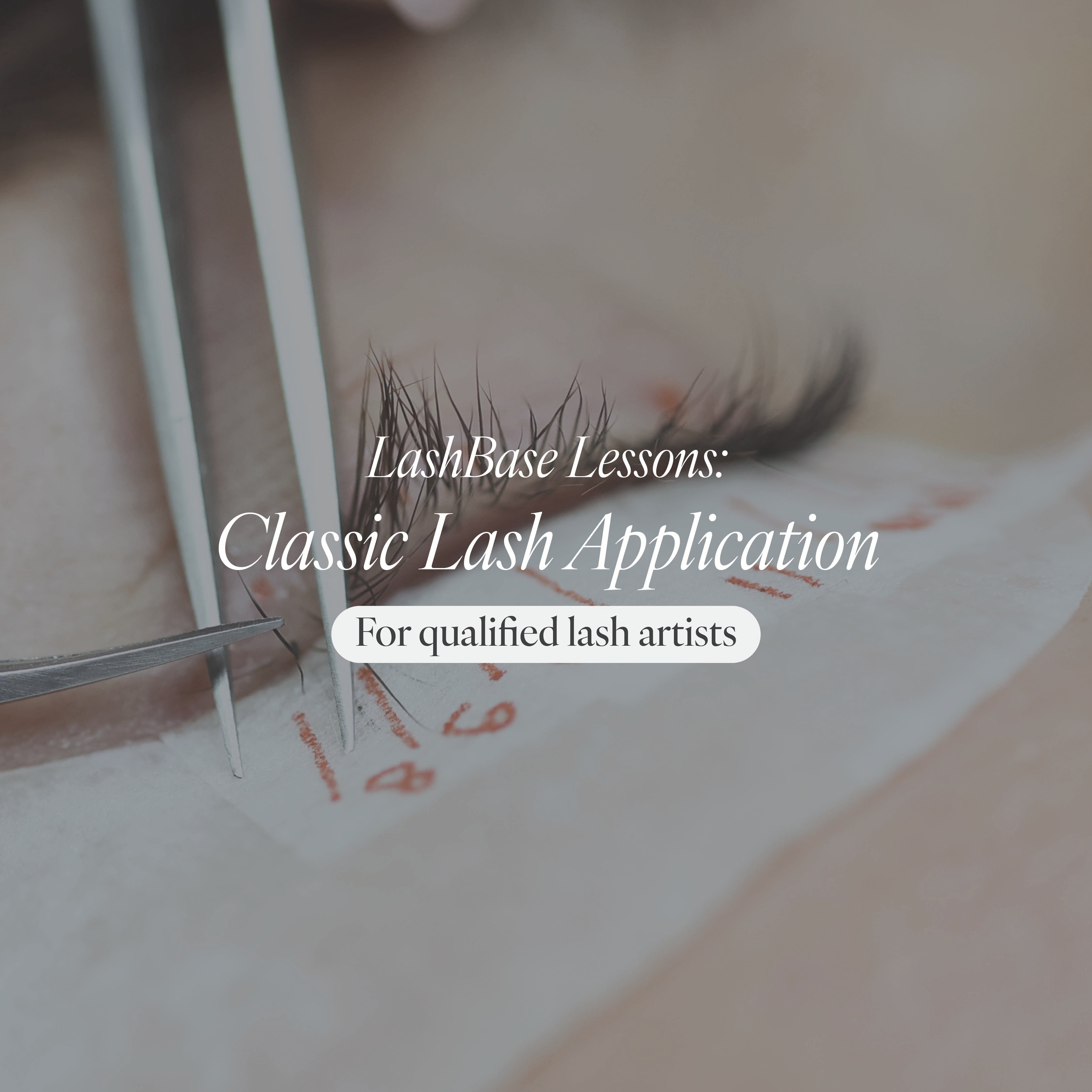 LashBase Lessons: Classic Lash Application | LashBase