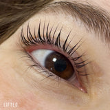 Lifted. 3-Step System Sample Pack - Lifted. - LashBase Limited