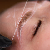 Lifted. Brow Mapping String - Lifted. - LashBase Limited