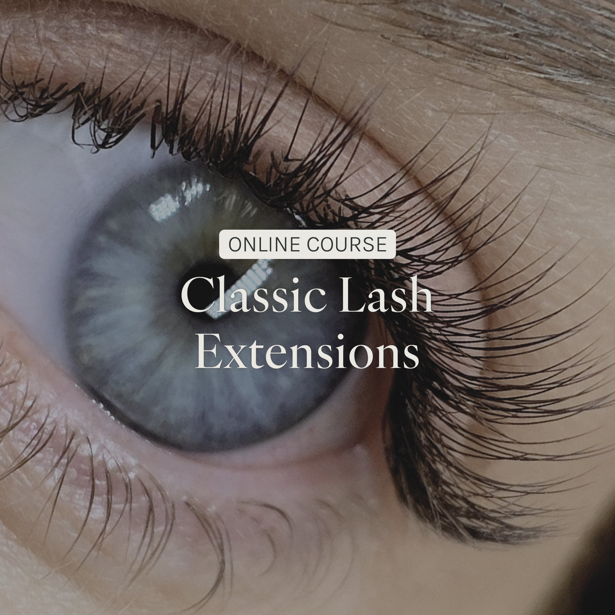 Online Classic Lash Extension Course - Kit Included