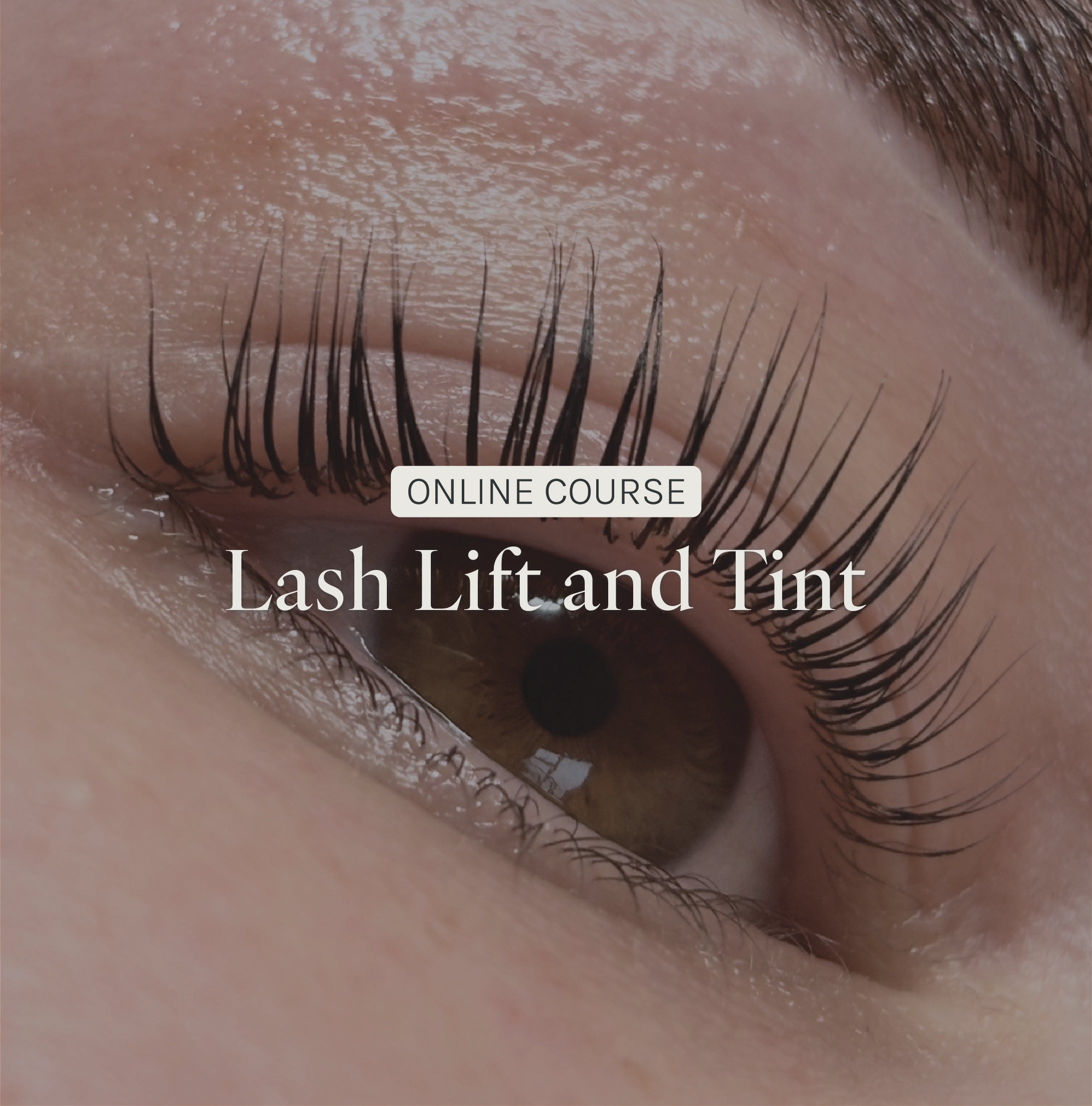 Online Lifted. Lash Lift & Tint Course - Kit Included