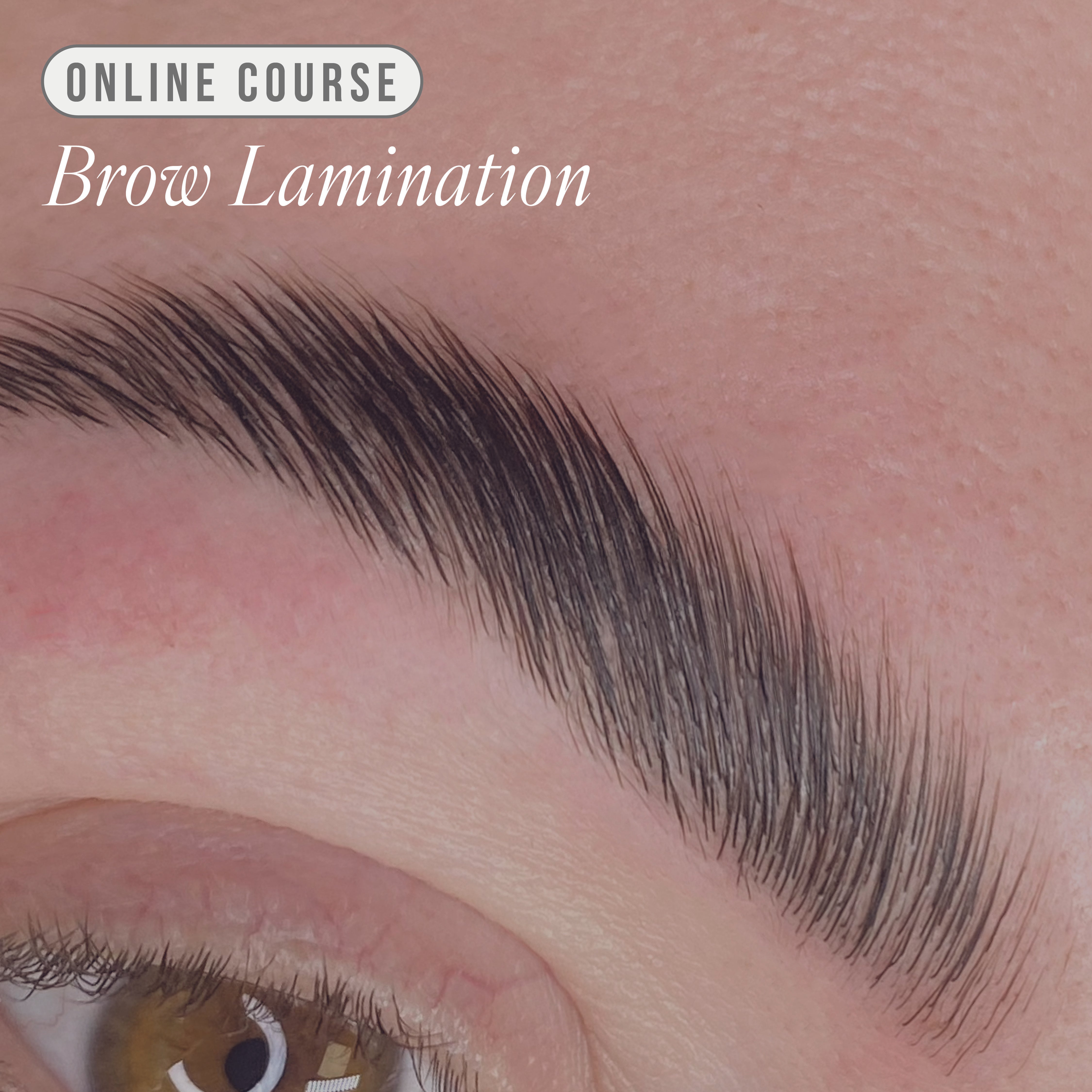 Online Lifted. Brow Lamination Course - Kit Included - Training Manual - LashBase Limited