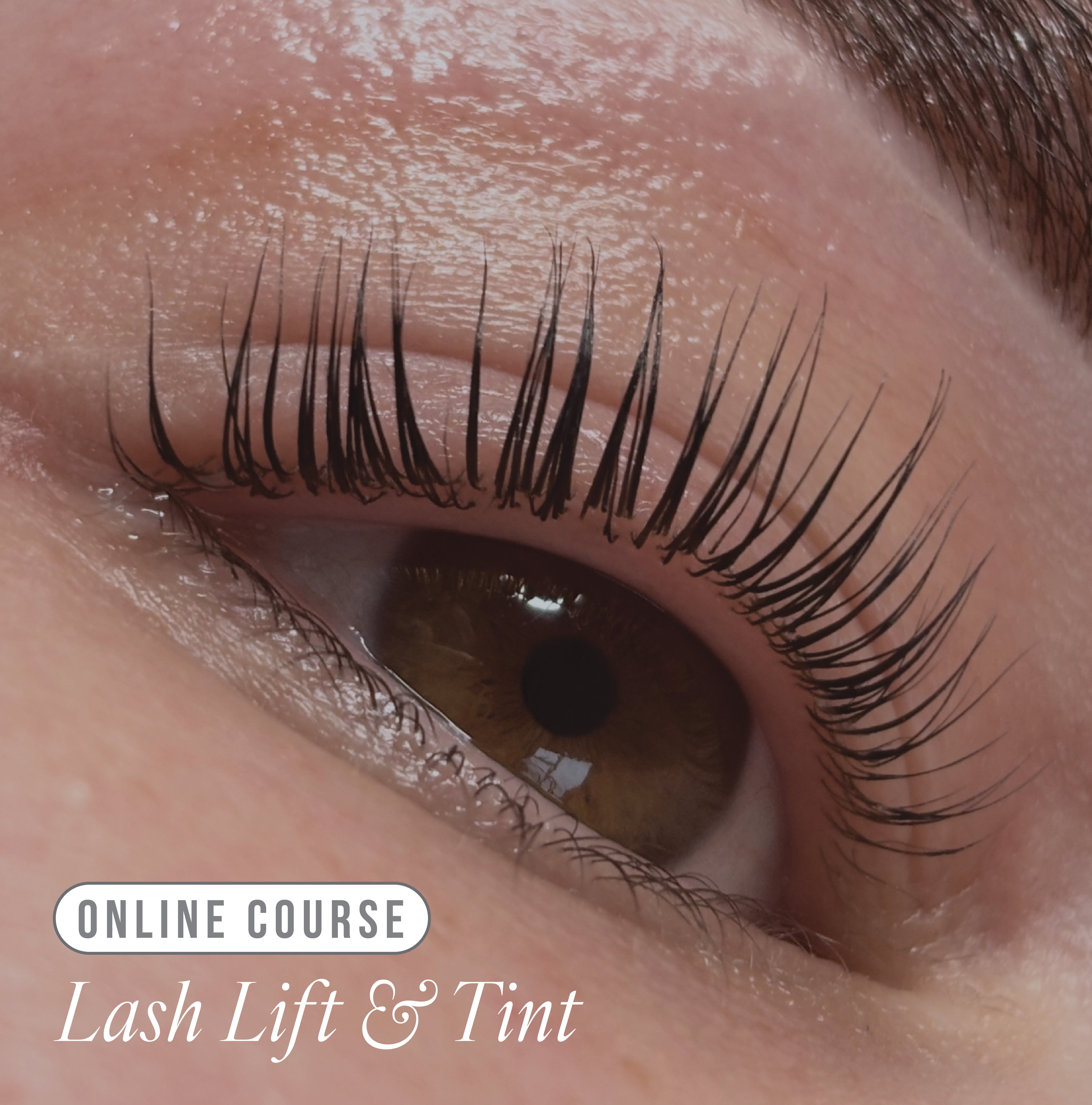 Online Lifted. Lash Lift & Tint Course - Kit Included