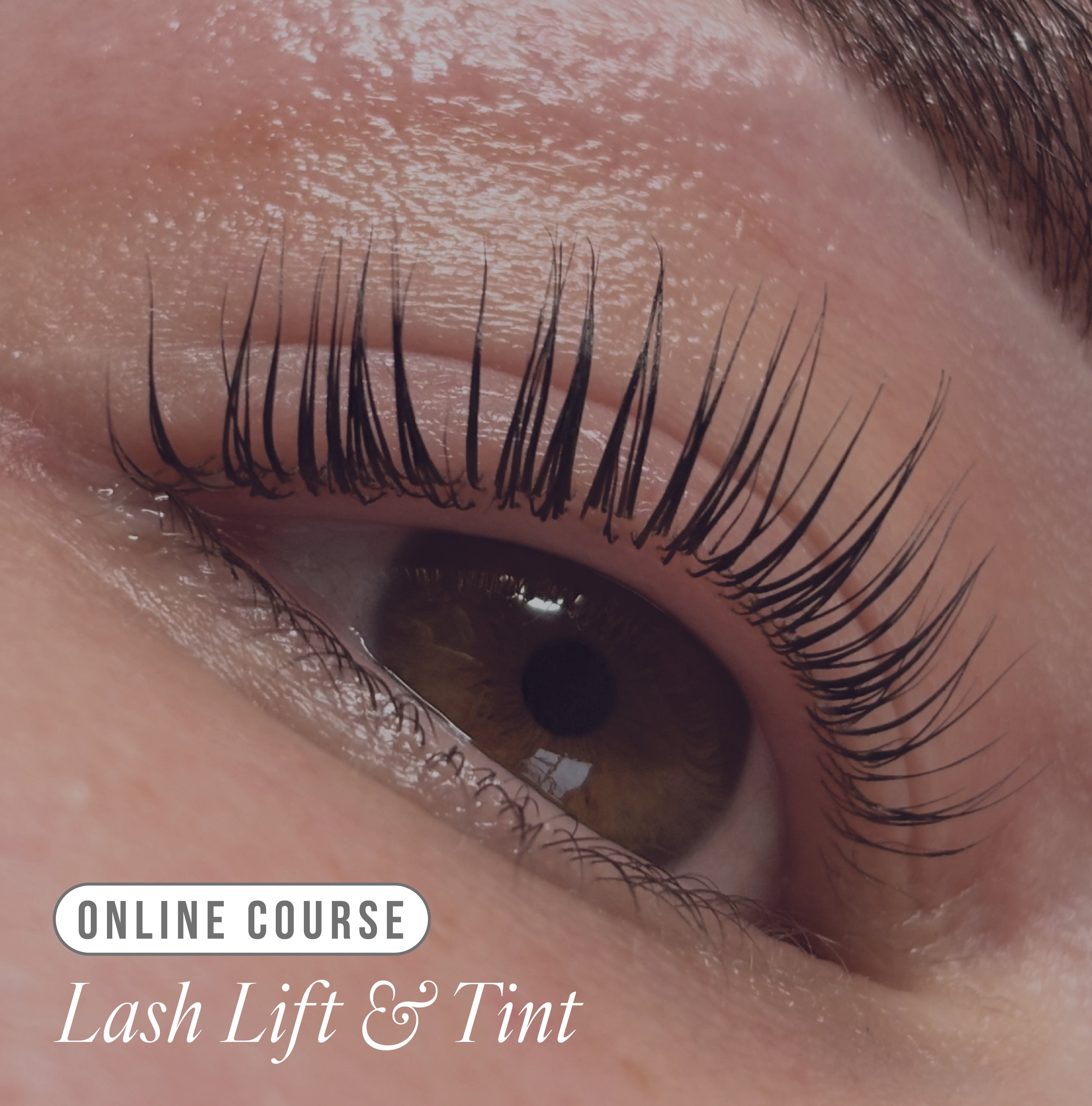 Online Lifted. Lash Lift & Tint Course - Kit Included -  - LashBase Limited