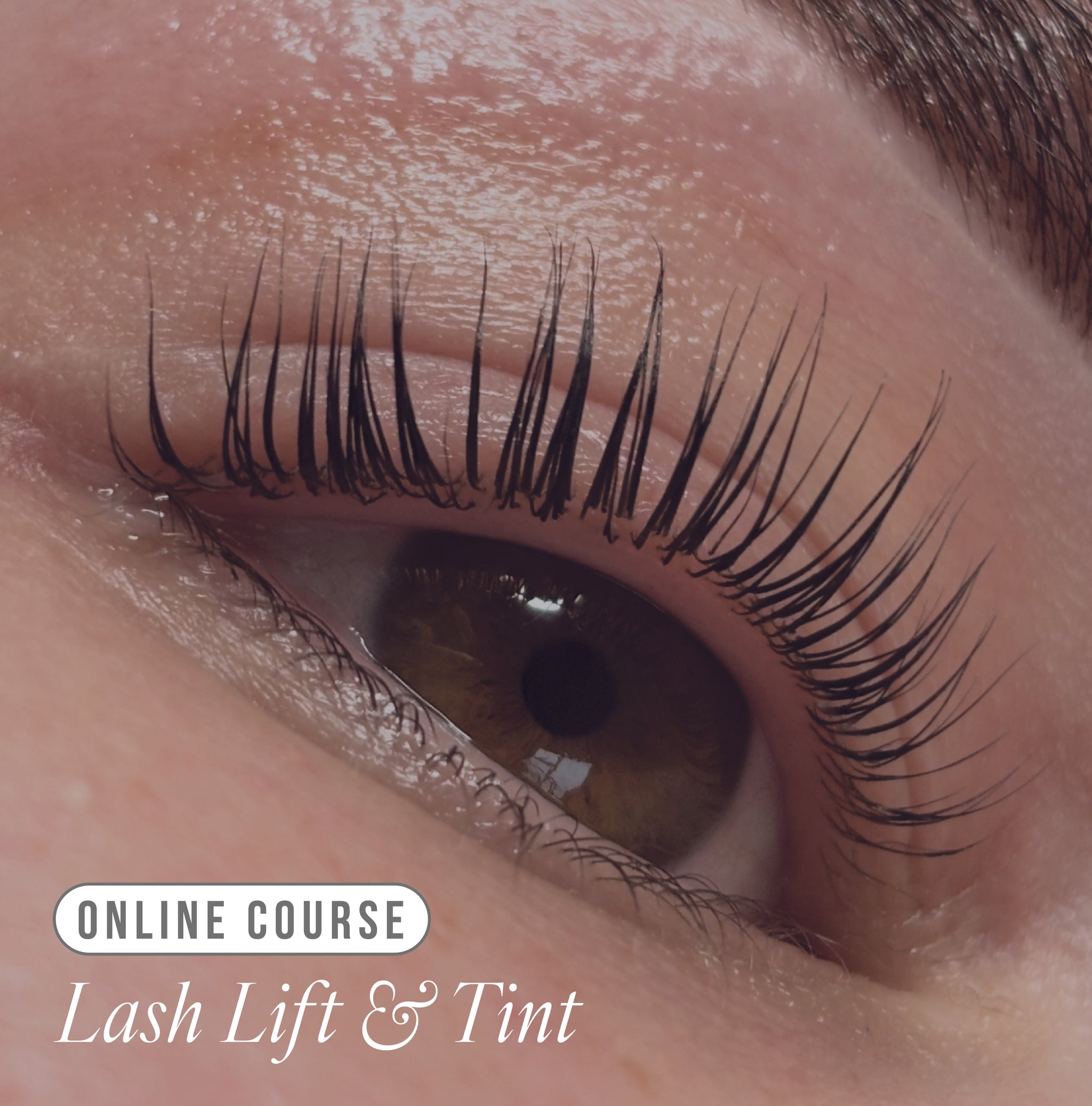 Online Lifted. Lash Lift & Tint Course - Kit Included -  - LashBase Limited
