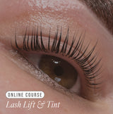 Online Lifted. Lash Lift & Tint Course - Kit Included -  - LashBase Limited