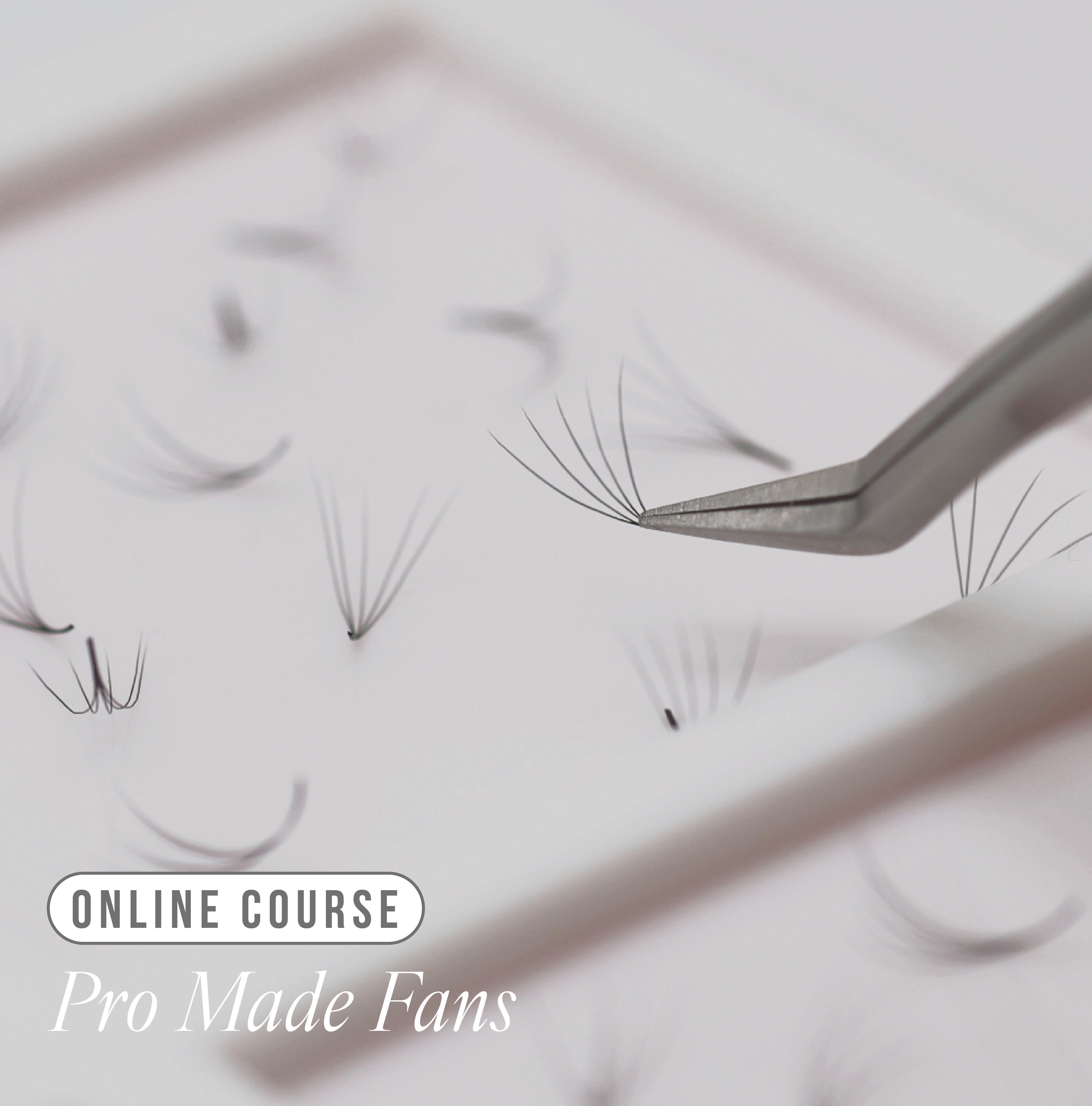 Online Pro Made Fan Course | Lash Supplies | LashBase Limited