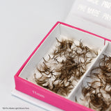 8D Light Brown Pro Mades - 750 Fans - False Eyelashes - LashBase Limited