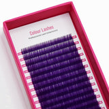 Colour Lashes - Purple - False Eyelashes - LashBase Limited