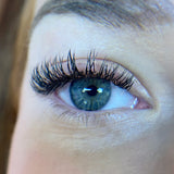 Split Tip Flat Lashes - False Eyelashes - LashBase Limited
