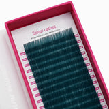 Colour Lashes - Teal - False Eyelashes - LashBase Limited
