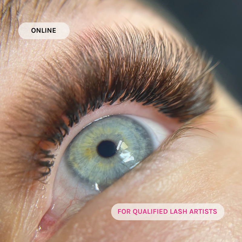 Webinar: 4-Week Retention - Other - LashBase Limited