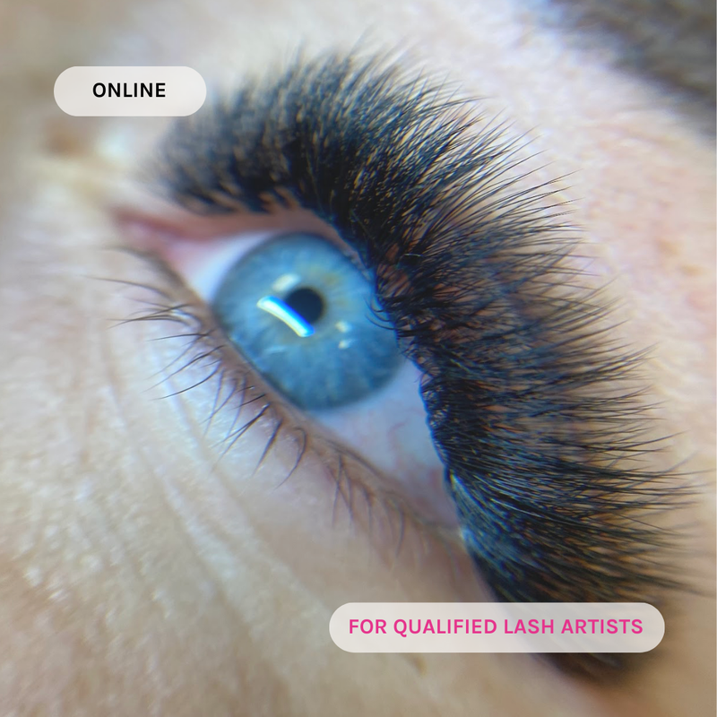 Webinar: Pre & ProMades - Everything You Should Know - Other - LashBase Limited