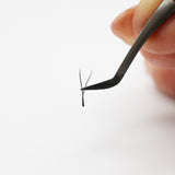 YY Lashes - False Eyelashes - LashBase Limited