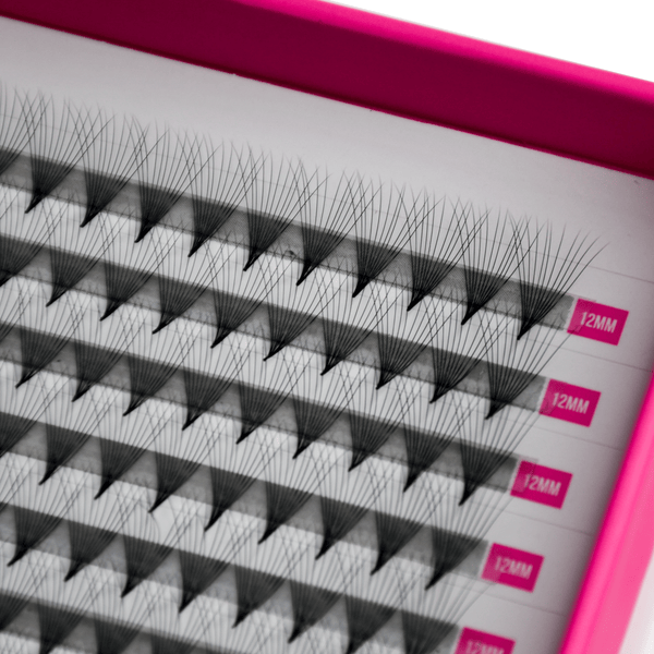 Clearance 11D Pre Made Mega Volume Fans Single Lengths – XXL Tray - Lashes - LashBase Limited