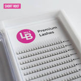 Clearance 3D (0.07mm) Pre Made Fans – Standard Tray - Lashes - LashBase Limited