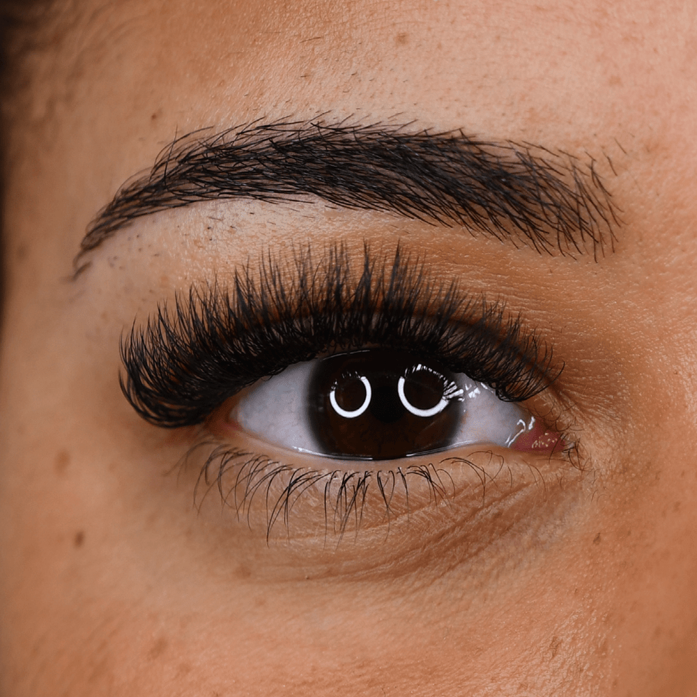 Enhance Collection Lashes 0.20mm LashBase Limited