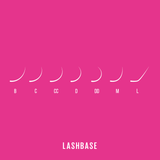LBX Collection Volume Lashes 0.07mm - Lashes - LashBase Limited