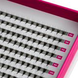 NEW GENERATION 4D Pre Made Volume Fans – XXL Tray - Lashes - LashBase Limited