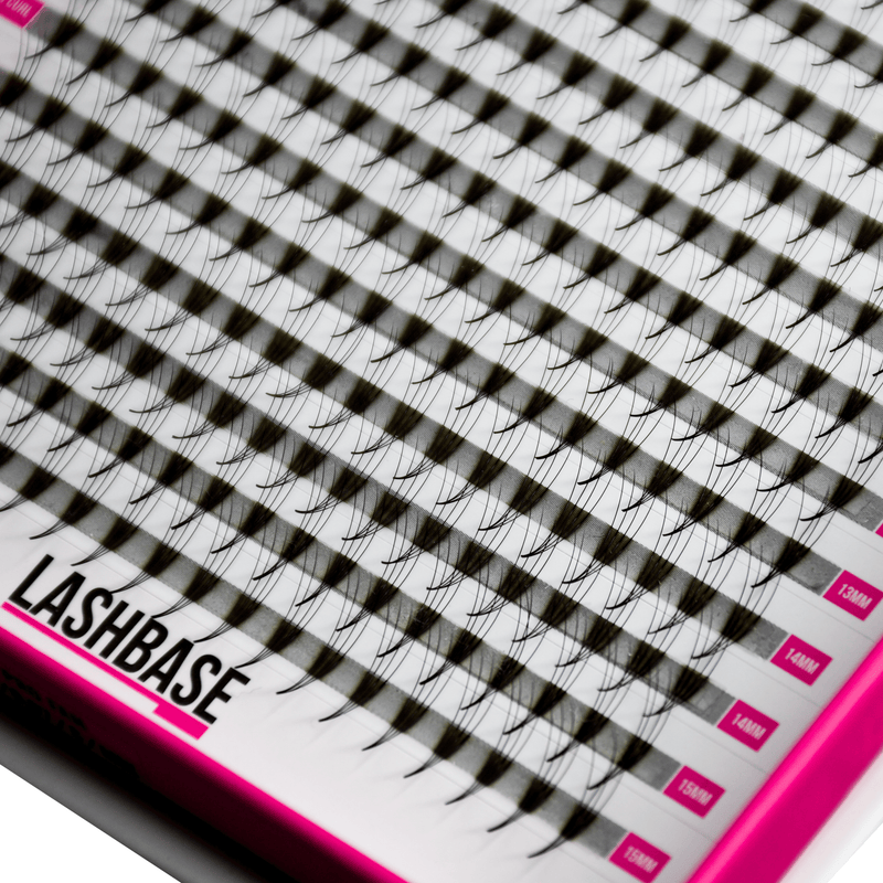 NEW GENERATION 4D Pre Made Volume Fans – XXL Tray - Lashes - LashBase Limited