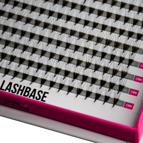 NEW GENERATION 5D Pre Made Volume Fans  – XXL Tray - Lashes - LashBase Limited